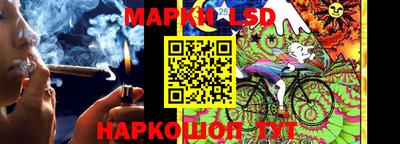 a pvp Тара