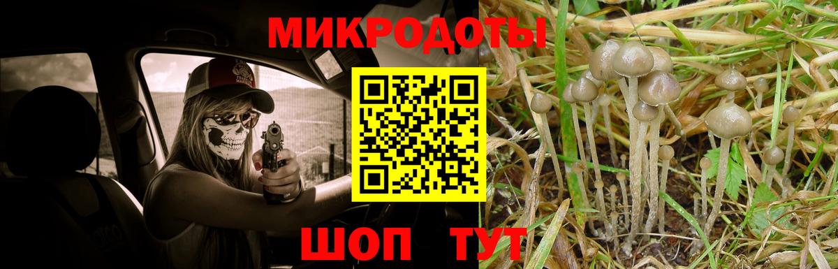 Псилоцибиновые грибы Cubensis  Вход с VPN  Псилоцибиновые грибы ЛСД  Псков 